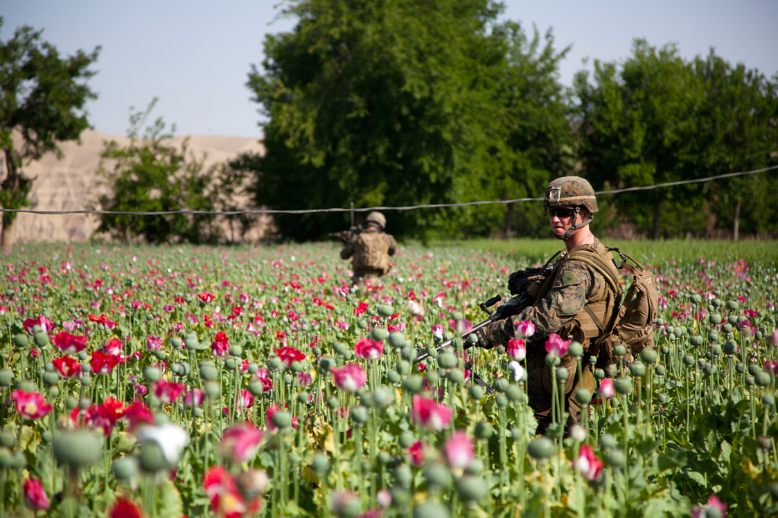 opium-fields-13.jpg