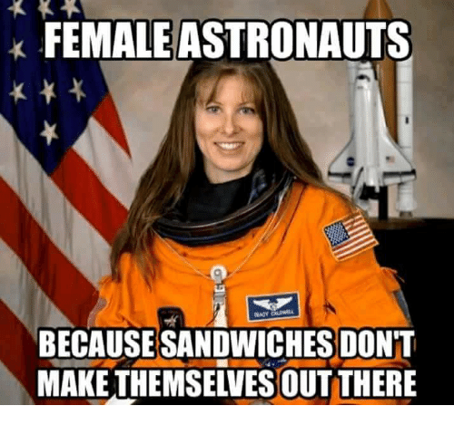 female-astronauts-becausesandwiches-dont-makethemselves-out-there-35414896.png