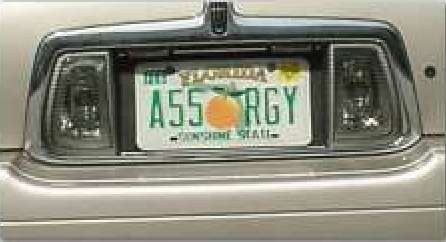 hilarious-license-plates.jpeg