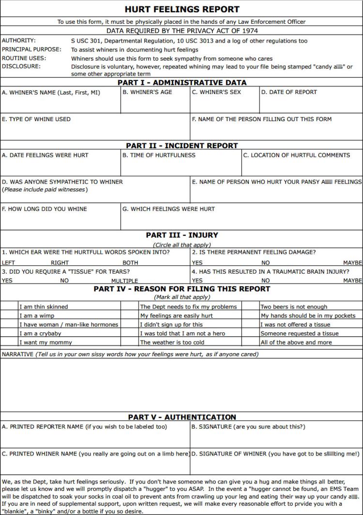 hurt feelings report word doc