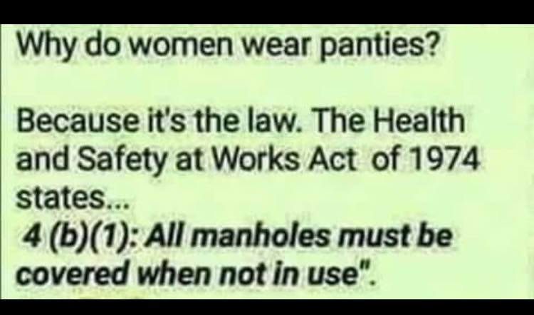 Why do women wear panties ? Because it's the law ! The Health & Safety At  Works Act of 1974 states. All manholes must be covered when not in use. ' 