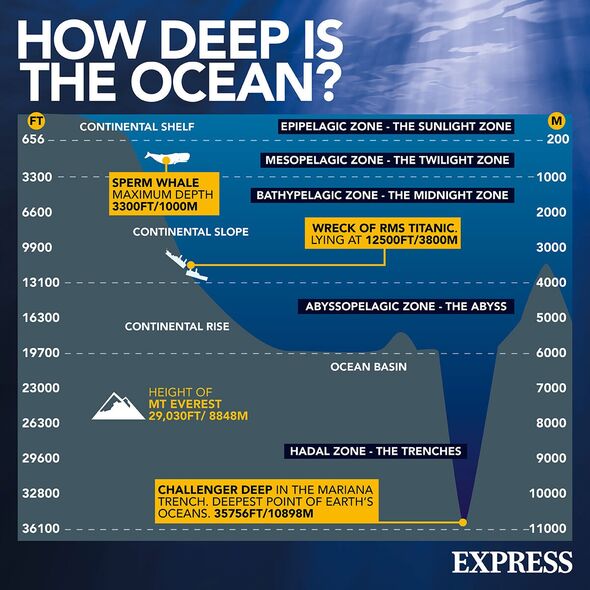 depths-of-the-ocean-4816080.jpg