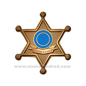 Sheriff-badge-shaped-deluxe-ch-5024261.jpg