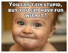 c5faa9199d03c276eb2d7fbe9ce4b5e2--funny-baby-pics-funny-babies.jpg