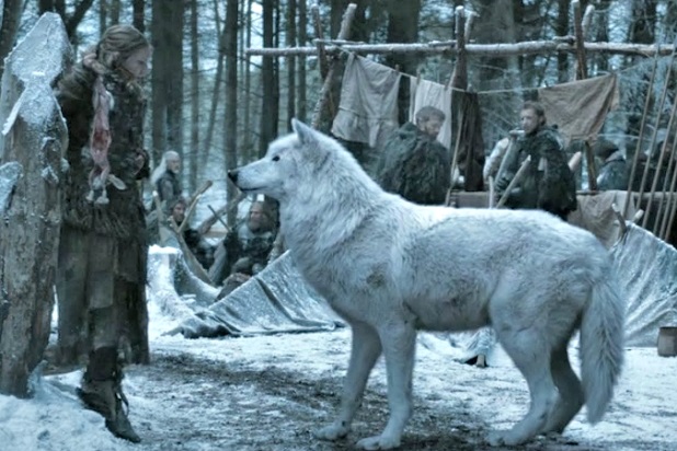 game-of-thrones-what-happened-to-ghost.jpg