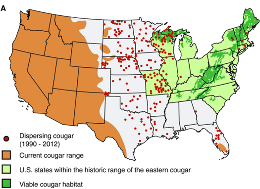 mountain_lion_range_map_conservation_letters.png