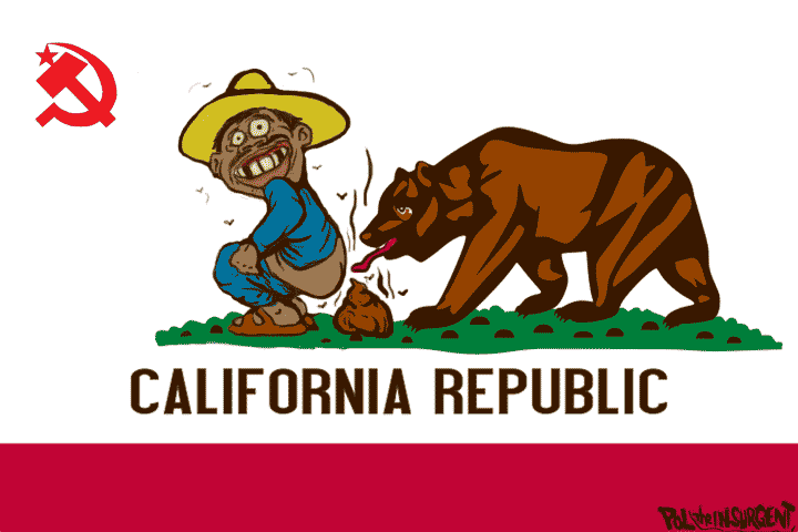 flag-of-california-republic.gif