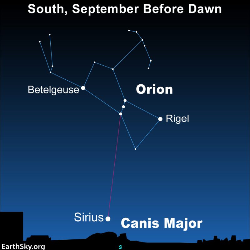 Orion-points-to-Sirius-September-e1630290358258.jpg